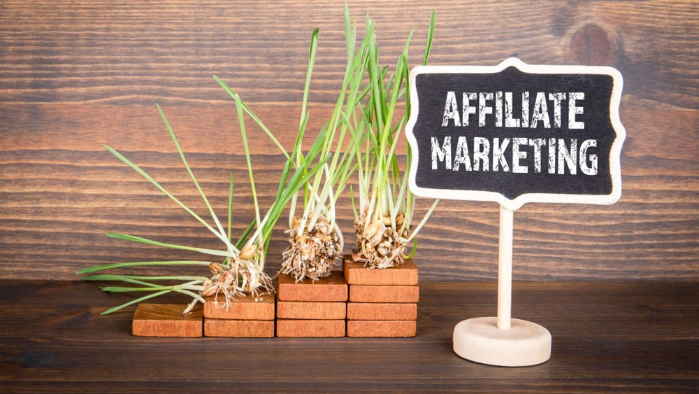 Affiliate marketing next to the green grass on the wooden steps
